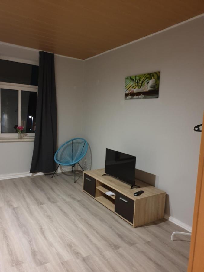 Fewo Nina 3 - Monteurwohnung Weissenfels Bagian luar foto